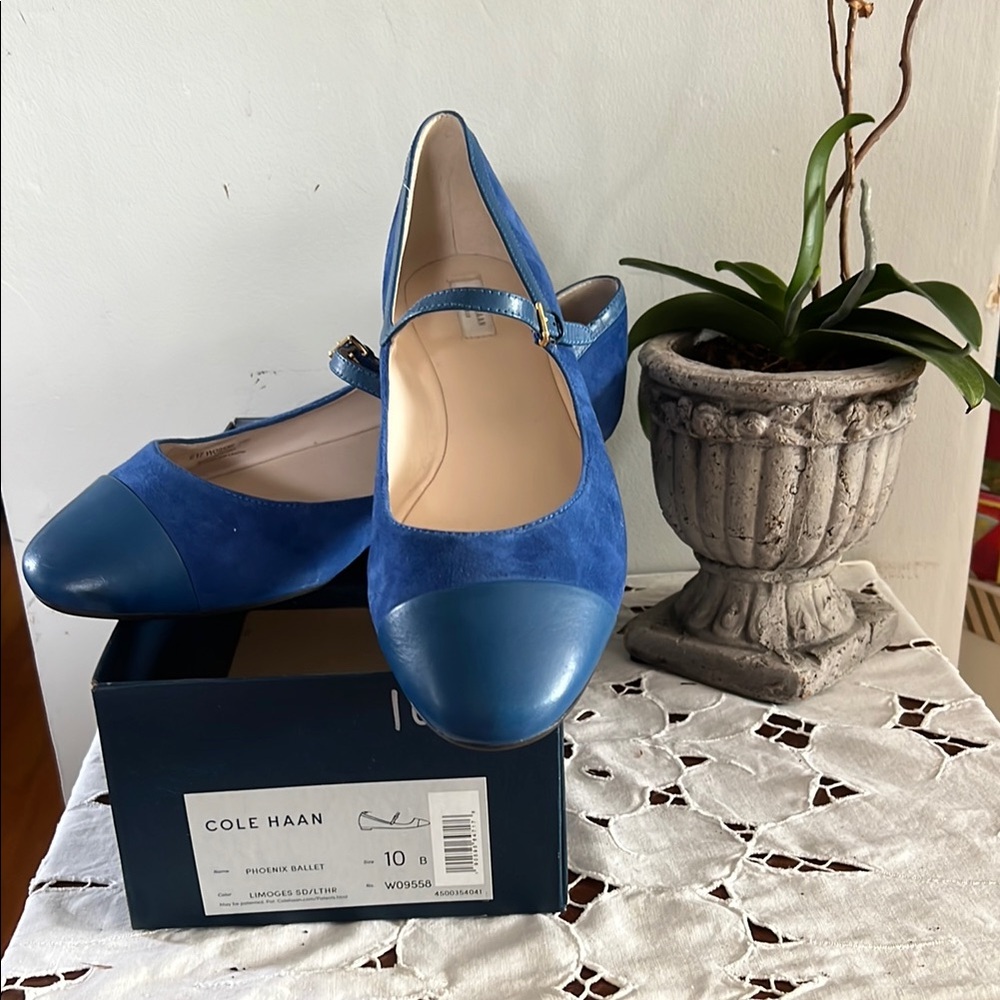 Cole Haan Blue Suede Ballet Flats with Strap Detail